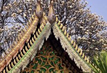 Gares routières de Chiang Maï